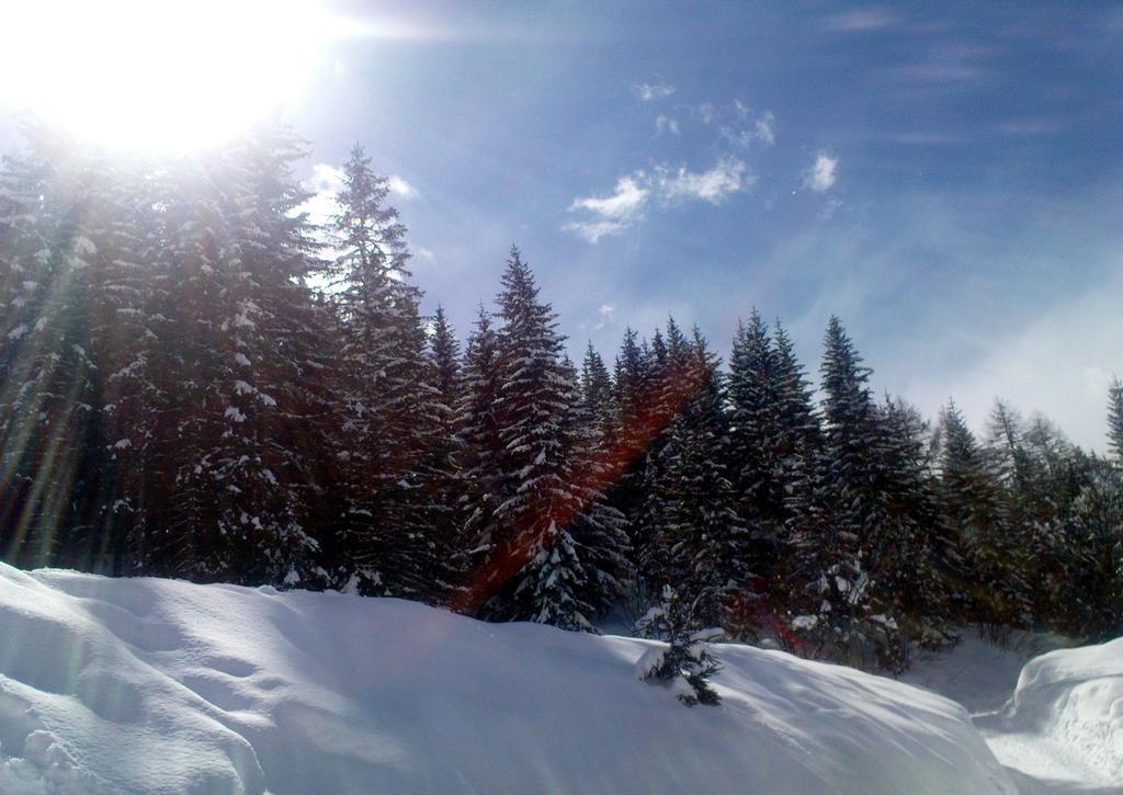Alpenhaeuser Marcius Sonnenalpe Nassfeld Dış mekan fotoğraf