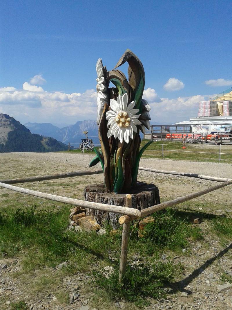Alpenhaeuser Marcius Sonnenalpe Nassfeld Dış mekan fotoğraf